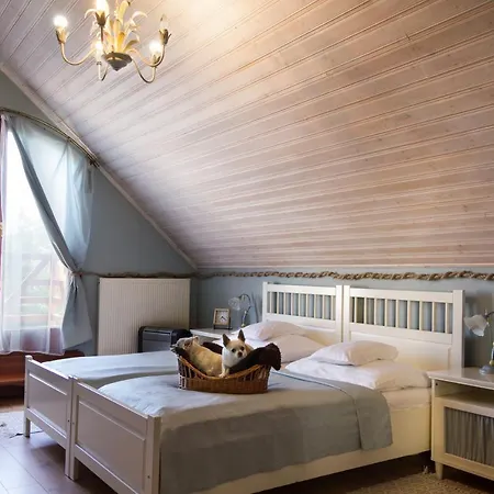 Maison d'hôtes Hangya Panzió és étterem