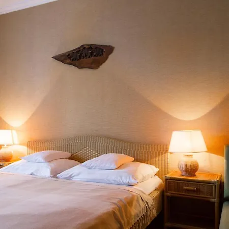 Gasthuis Hangya Panzio Es Etterem Csepreg